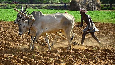 ಸಾಂದರ್ಭಿಕ ಚಿತ್ರ