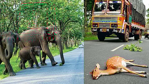 ಸಂಗ್ರಹ ಚಿತ್ರ