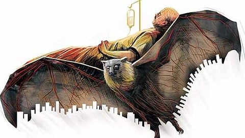 ಸಾಂದರ್ಭಿಕ ಚಿತ್ರ