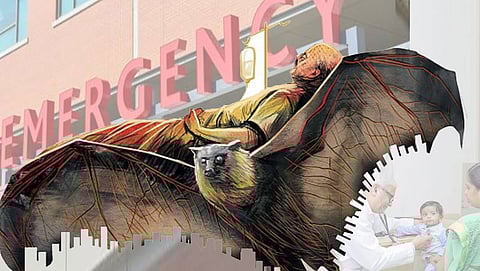 ಸಂಗ್ರಹ ಚಿತ್ರ