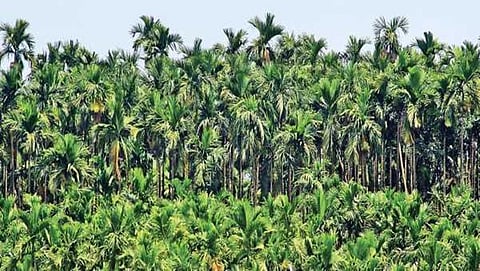 ಸಾಂದರ್ಭಿಕ ಚಿತ್ರ