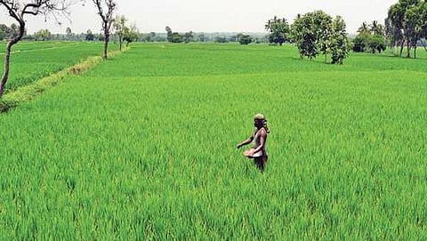 ಸಾಂದರ್ಭಿಕ ಚಿತ್ರ
