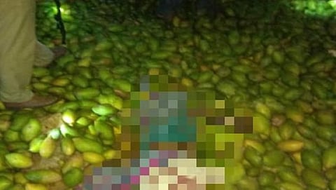 ಆಂಧ್ರ ಪ್ರದೇಶ: ಮಾವಿನ ಹಣ್ಣು ತುಂಬಿದ್ದ ಲಾರಿ ಪಲ್ಟಿ, 7 ಕೂಲಿ ಕಾರ್ಮಿಕರ ಸಾವು