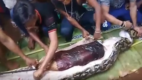 ಸಂಗ್ರಹ ಚಿತ್ರ