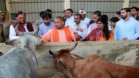 ಯೋಗಿ ಆದಿತ್ಯನಾಥ್