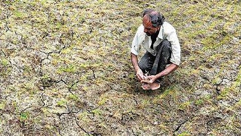 ಸಾಂದರ್ಭಿಕ ಚಿತ್ರ
