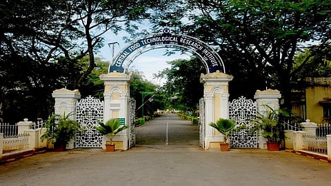 ಸಾಂದರ್ಭಿಕ ಚಿತ್ರ