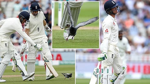 ಕೀಟನ್ ಜೆನ್ನಿಂಗ್ಸ್