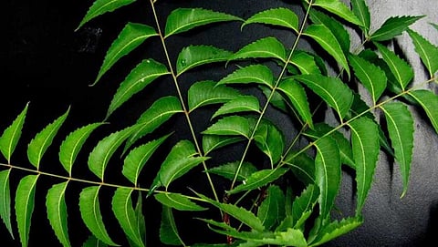 ಸಾಂದರ್ಭಿಕ ಚಿತ್ರ