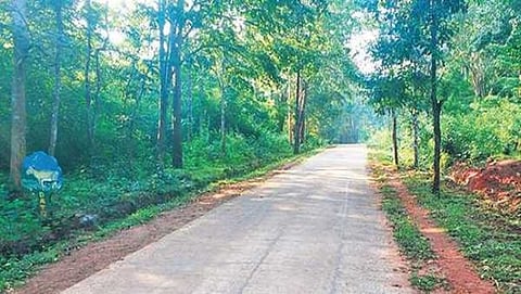 ಕಾಳಿ ಹುಲಿ ಸಂರಕ್ಷಿತ ಅರಣ್ಯ ಪ್ರದೇಶ