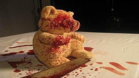 ಟೆಡ್ಡಿ ಬೇರ್