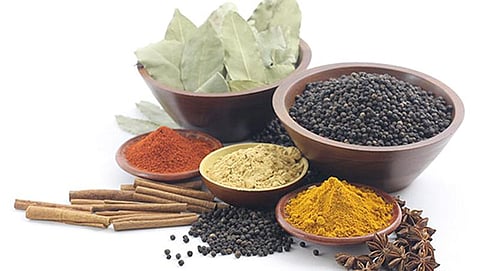 ಸಂಗ್ರಹ ಚಿತ್ರ