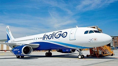 Indigo flight