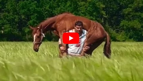 ಸಂಗ್ರಹ ಚಿತ್ರ