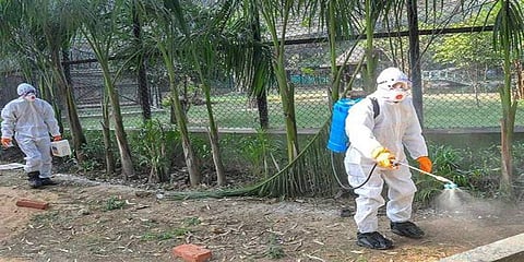 ಹಕ್ಕಿ ಜ್ವರದ ಭೀತಿ; ಪಕ್ಷಿಧಾಮ, ಕೆರೆಗಳಲ್ಲಿ ಹೈ ಅಲರ್ಟ್