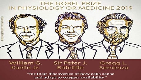 ಮೂವರು ಸಾಧಕರಿಗೆ ವೈದ್ಯಕೀಯ ನೋಬೆಲ್ ಗೌರವ
