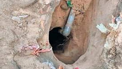 ಸಂಗ್ರಹ ಚಿತ್ರ