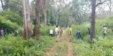 ಕಾಡ್ಗಿಚ್ಚು ತಡೆಗಟ್ಟಲು ಫೈರ್ ಲೈನ್