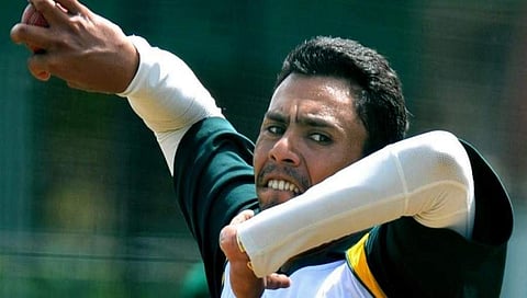 ಡ್ಯಾನಿಶ್ ಕನೇರಿಯಾ