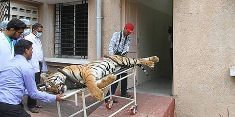 ಸಂಗ್ರಹ ಚಿತ್ರ