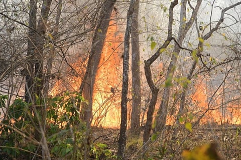 ಸಾಂದರ್ಭಿಕ ಚಿತ್ರ