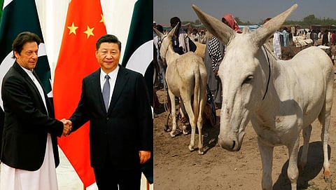 ಸಂಗ್ರಹ ಚಿತ್ರ