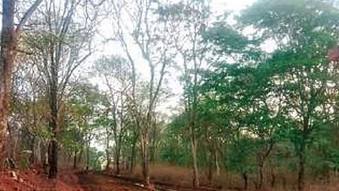 ಭದ್ರಾ ಮೀಸಲು ಅರಣ್ಯ ಪ್ರದೇಶದಲ್ಲಿ ಕುವೆಂಪು ವಿಶ್ವವಿದ್ಯಾಲಯದ ಕಟ್ಟಡ ನಿರ್ಮಾಣ ಕಾರ್ಯ