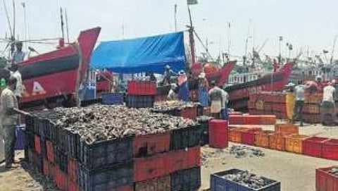 ಸಂಗ್ರಹ ಚಿತ್ರ