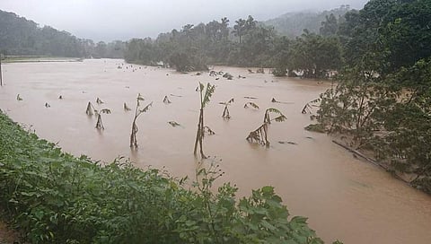 ಮಳೆಗಾಹುತಿಯಾದ ಕಾಫೆ ತೋಟ