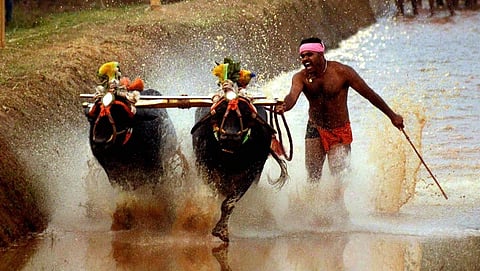 ಸಾಂದರ್ಭಿಕ ಚಿತ್ರ