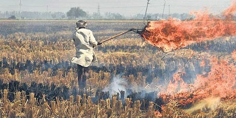 ಕೃಷಿ ತ್ಯಾಜ್ಯ ಸುಡುತ್ತಿರುವುದು