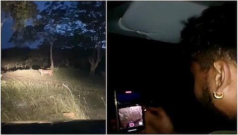 ಕಾನೂನು ಬಾಹಿರವಾಗಿ ಬಂಡೀಪುರದಲ್ಲಿ ನೈಟ್ ಸಫಾರಿ: ನಟ ಧನ್ವೀರ್ ವಿರುದ್ಧ ಆರೋಪ