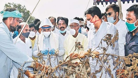 ಕಲಬುರಗಿಯ ಜೇವರ್ಗಿ ತಾಲ್ಲೂಕಿನಲ್ಲಿ ಪ್ರವಾಹ ಪೀಡಿತ ಪ್ರದೇಶಗಳ ಪರಿಶೀಲನೆ ನಡೆಸುತ್ತಿರುವ ಸಿದ್ದರಾಮಯ್ಯ