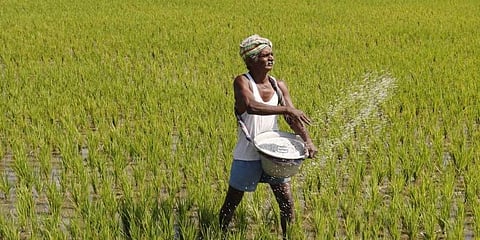 ಸಾಂದರ್ಭಿಕ ಚಿತ್ರ