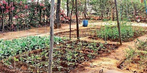 ಸಾಂದರ್ಭಿಕ ಚಿತ್ರ