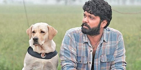 ರಕ್ಷಿತ್ ಶೆಟ್ಟಿ