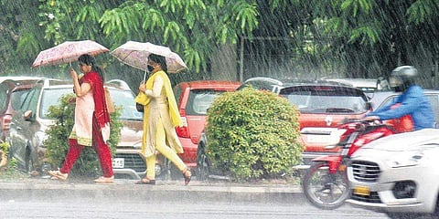 ಸಂಗ್ರಹ ಚಿತ್ರ