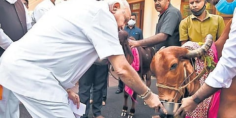 ಗೋಪೂಜೆ ನೆರವೇರಿಸಿದ ಸಿಎಂ ಯಡಿಯೂರಪ್ಪ