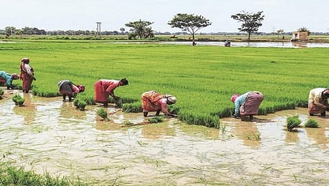 ಸಾಂದರ್ಭಿಕ ಚಿತ್ರ