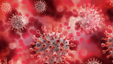 ಸಾಂದರ್ಭಿಕ ಚಿತ್ರ