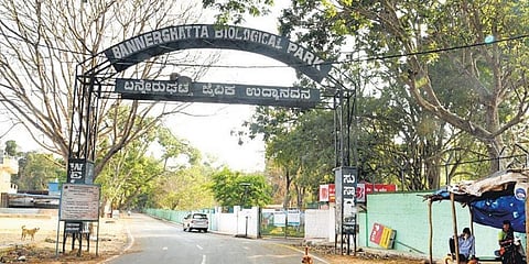 ಸಂಗ್ರಹ ಚಿತ್ರ