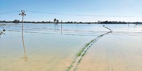 ಕಂದಮಂಗಲಂ ತಾಲ್ಲೂಕಿನ ಸೊರಪುರ ಗ್ರಾಮ