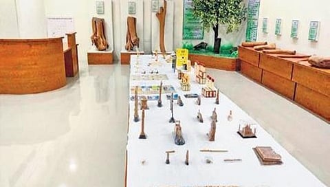 ಶ್ರೀಗಂಧದ ಕೆಲವು ಪ್ರಬೇಧಗಳು