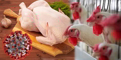 ಸಾಂದರ್ಭಿಕ ಚಿತ್ರ