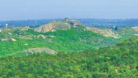 ಬನ್ನೇರುಘಟ್ಟ ಪಾರ್ಕ್ ನ ಸೂಕ್ಷ್ಮ ವಲಯ: ಕೇಂದ್ರದ ಅಧಿಸೂಚನೆಯಲ್ಲಿ ಕತ್ತರಿ, ಪರಿಸರ ಪ್ರೇಮಿಗಳಿಂದ ವಿರೋಧ