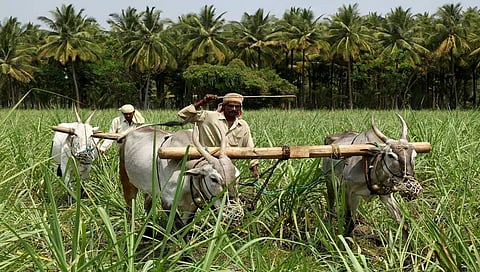 ಸಾಂದರ್ಭಿಕ ಚಿತ್ರ
