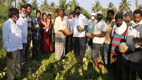 ತರಕಾರಿ, ಹಣ್ಣು ಖರೀದಿಸಿ ಮಂಡ್ಯ ರೈತರಿಗೆ ನೆರವಾದ ಸಂಸದ ಡಿ.ಕೆ.ಸುರೇಶ್