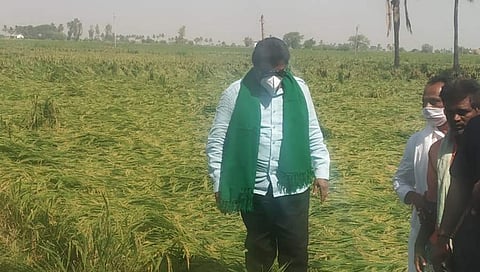 ಕೃಷಿ ಸಚಿವ ಬಿಸಿ ಪಾಟೀಲ್