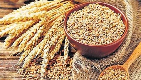 ಸಾಂದರ್ಭಿಕ ಚಿತ್ರ