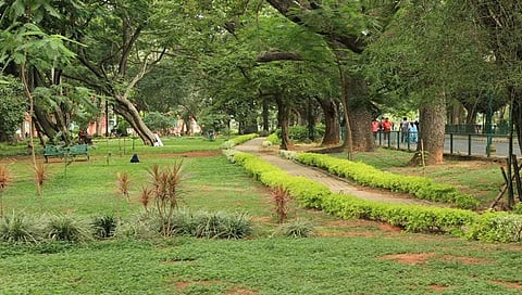ಕಬ್ಬನ್ ಪಾರ್ಕ್ (ಸಂಗ್ರಹ ಚಿತ್ರ)